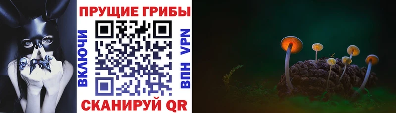 Псилоцибиновые грибы прущие грибы  наркошоп  Дербент 